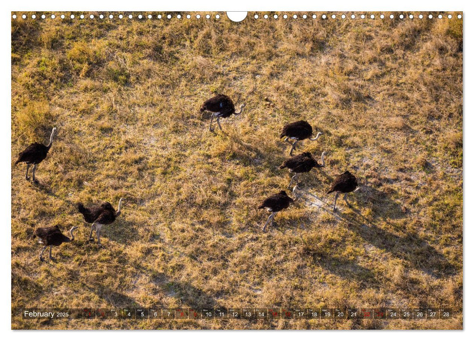 Botswana from above (CALVENDO Monthly Calendar 2025)