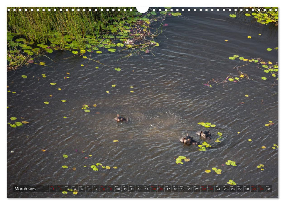 Botswana from above (CALVENDO Monthly Calendar 2025)