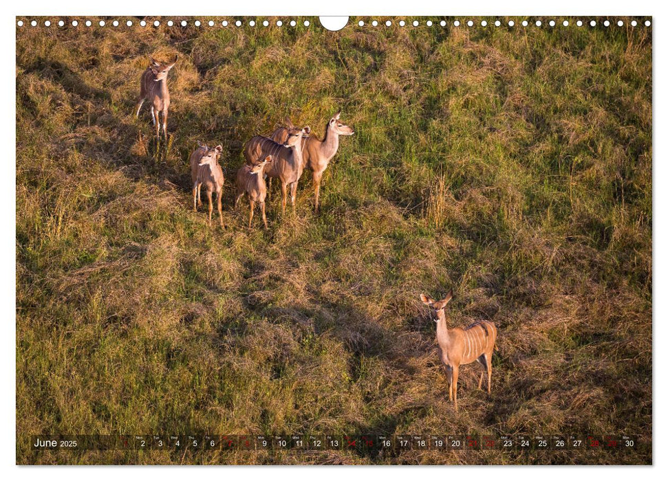 Botswana from above (CALVENDO Monthly Calendar 2025)