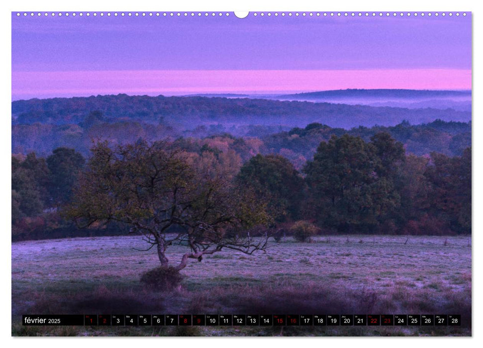 Lumières des Vosges (CALVENDO Calendrier supérieur 2025)