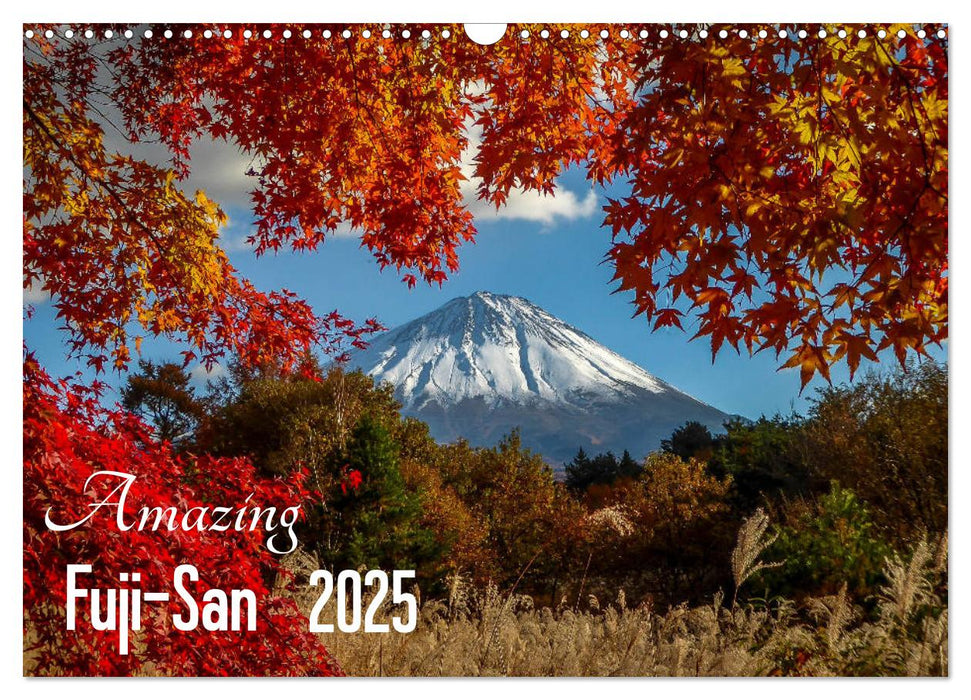 Amazing Fuji-San (CALVENDO Monthly Calendar 2025)