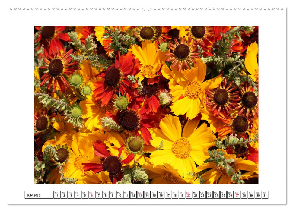 Impressing Sea of Flowers (CALVENDO Premium-Calendar 2025)