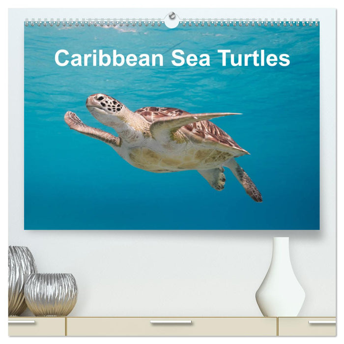 Caribbean Sea Turtles (CALVENDO Premium-Calendar 2025)