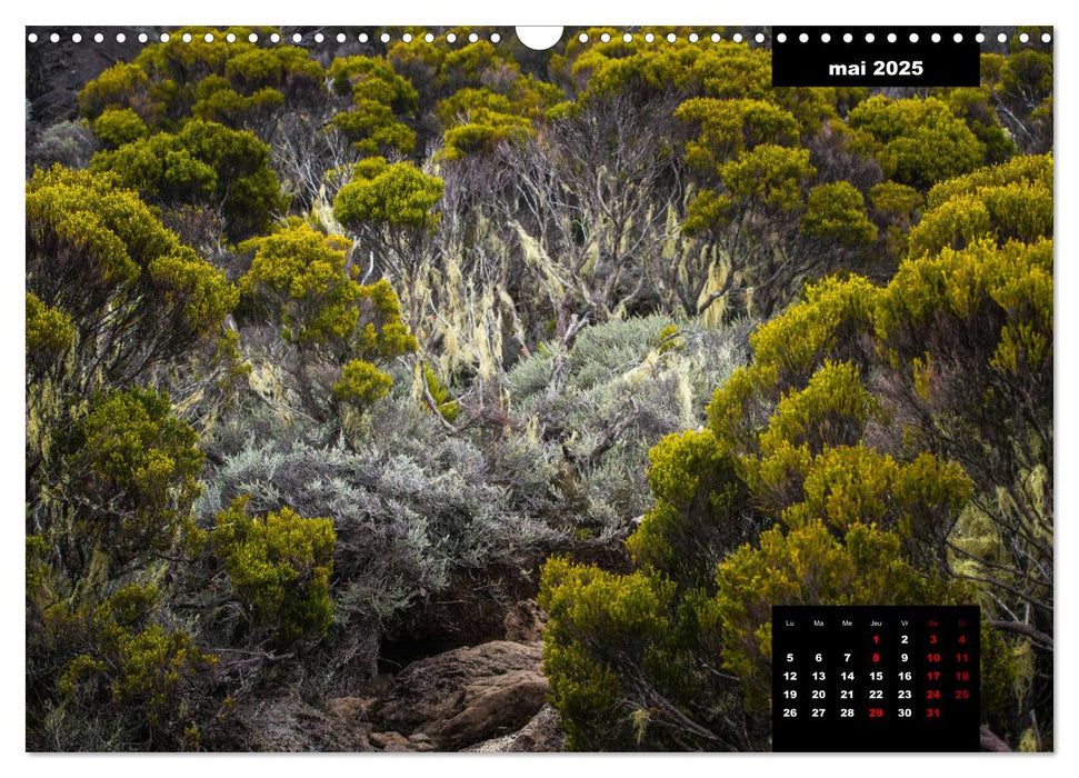 Paysages de l'île de La Réunion (CALVENDO Calendrier mensuel 2025)