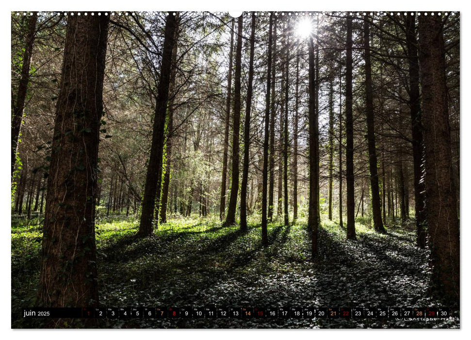 Paysages d'Auvergne (CALVENDO Calendrier supérieur 2025)