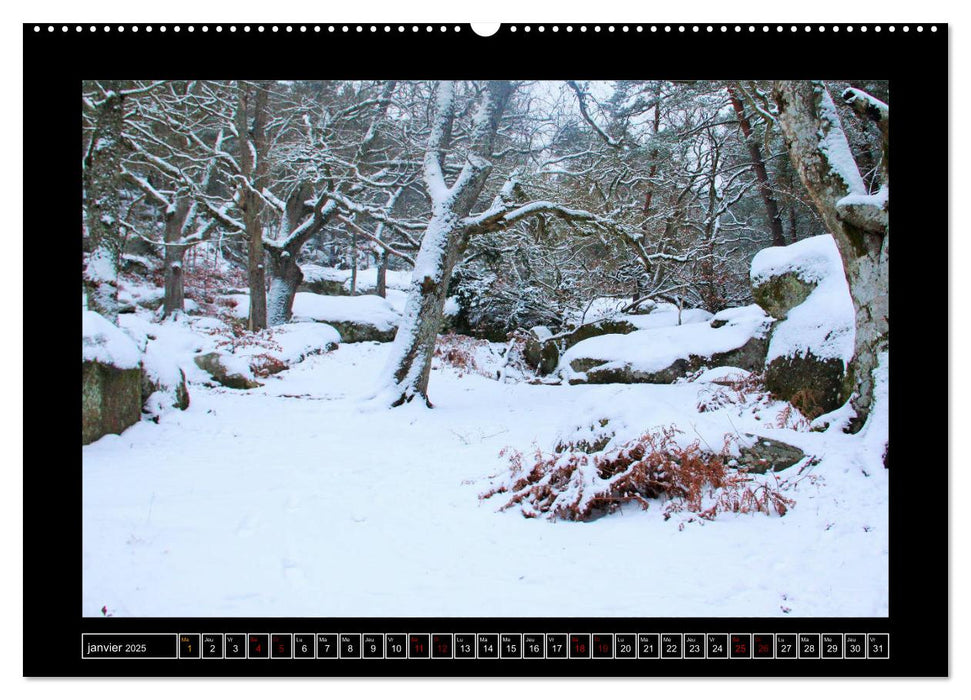 Paysages de Fontainebleau (CALVENDO Calendrier supérieur 2025)