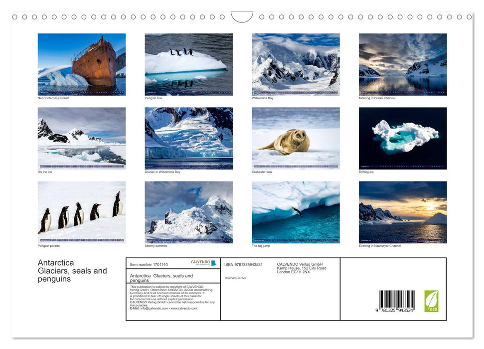 Antarctica Glaciers, seals and penguins (CALVENDO Monthly Calendar 2025)