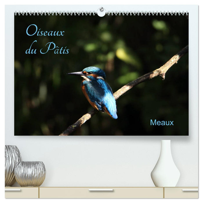 Oiseaux du Pâtis (CALVENDO Calendrier supérieur 2025)