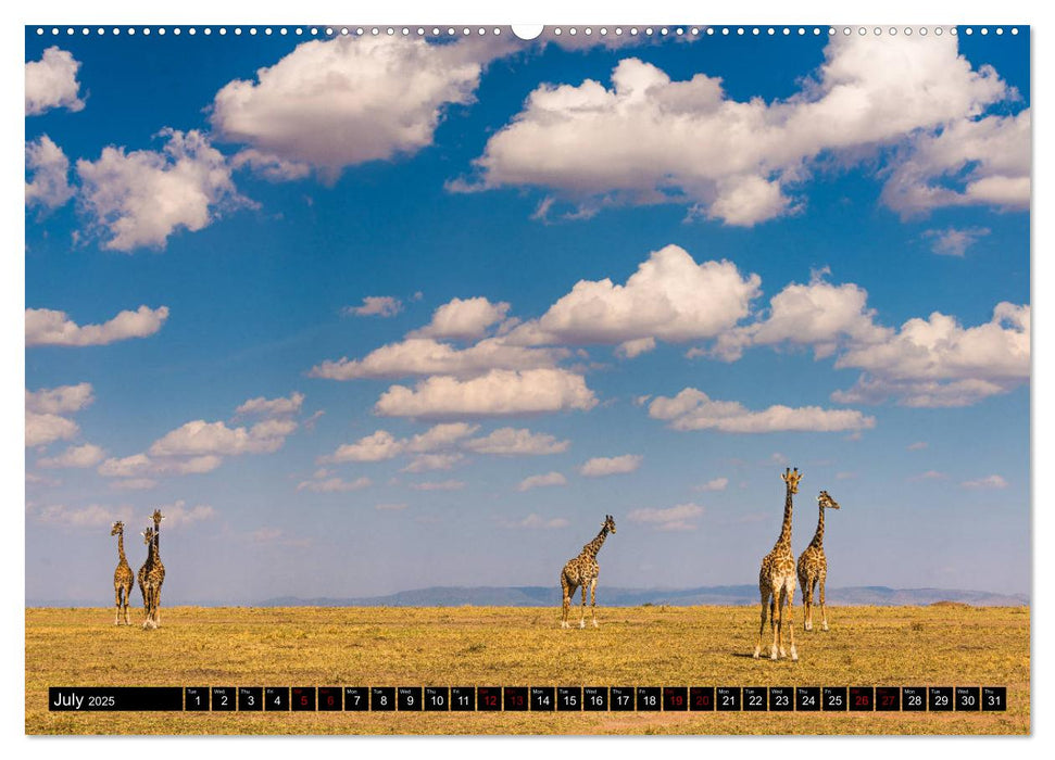 Safari in Kenya (CALVENDO Premium-Calendar 2025)