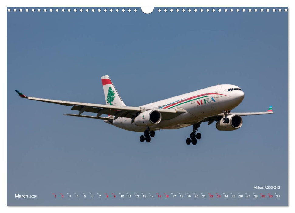 Airliners of the Middle East (CALVENDO Monthly Calendar 2025)