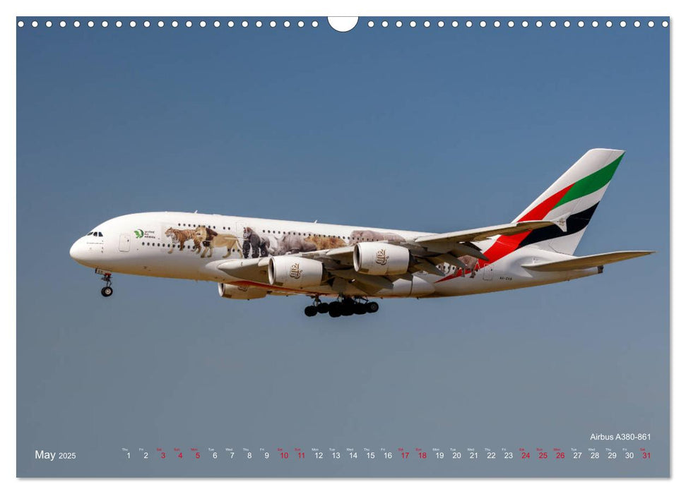 Airliners of the Middle East (CALVENDO Monthly Calendar 2025)