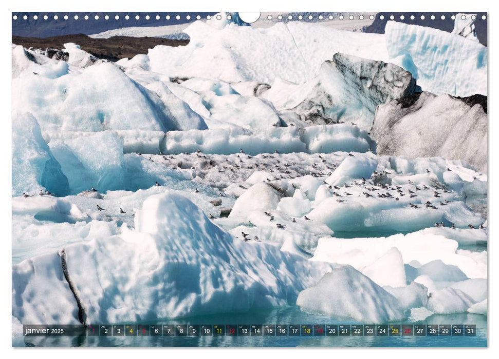 Islande île de merveilles naturelles (CALVENDO Calendrier mensuel 2025)