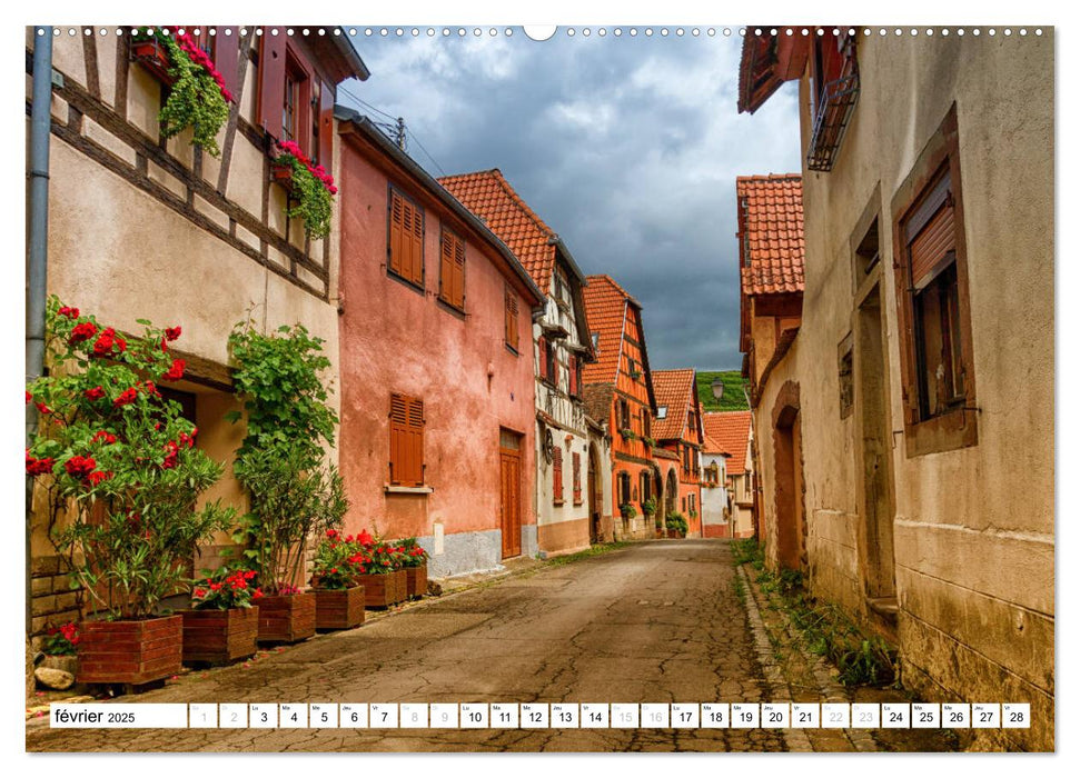 Alsace, magnifiques colombages (CALVENDO Calendrier supérieur 2025)