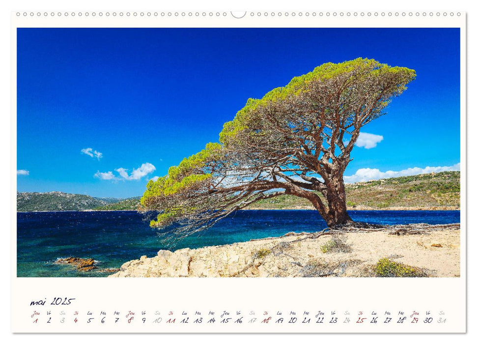 Corse - fantastiques côtes de la Méditerranée (CALVENDO Calendrier supérieur 2025)