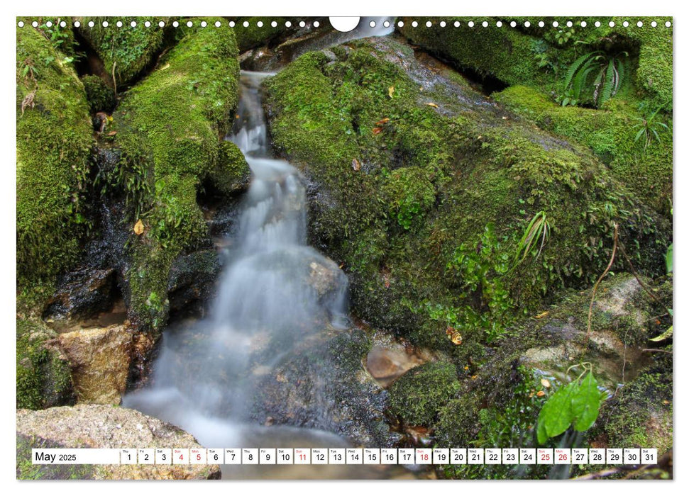 Abel Tasman National Park (CALVENDO Monthly Calendar 2025)