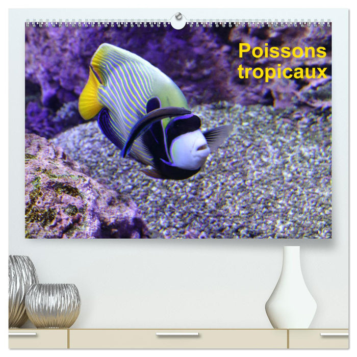 Poissons tropicaux (CALVENDO Calendrier supérieur 2025)