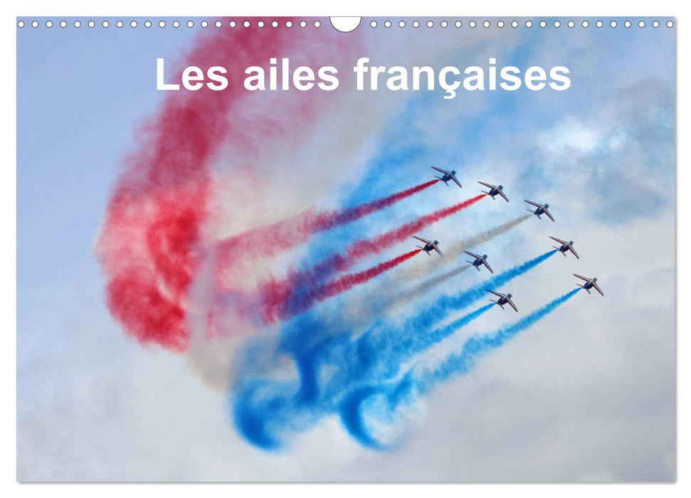 Les ailes françaises (CALVENDO Calendrier mensuel 2025)