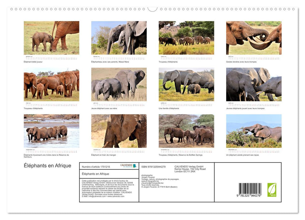 Éléphants en Afrique (CALVENDO Calendrier supérieur 2025)