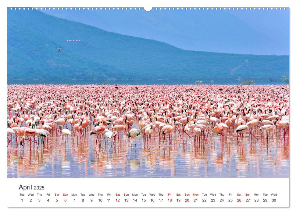 Kenya - a country like Africa (CALVENDO Premium-Calendar 2025)