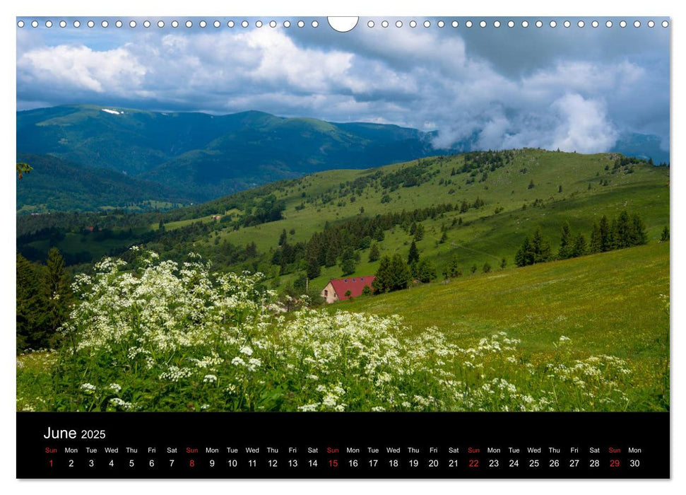 Landscapes in Alsace (CALVENDO Monthly Calendar 2025)