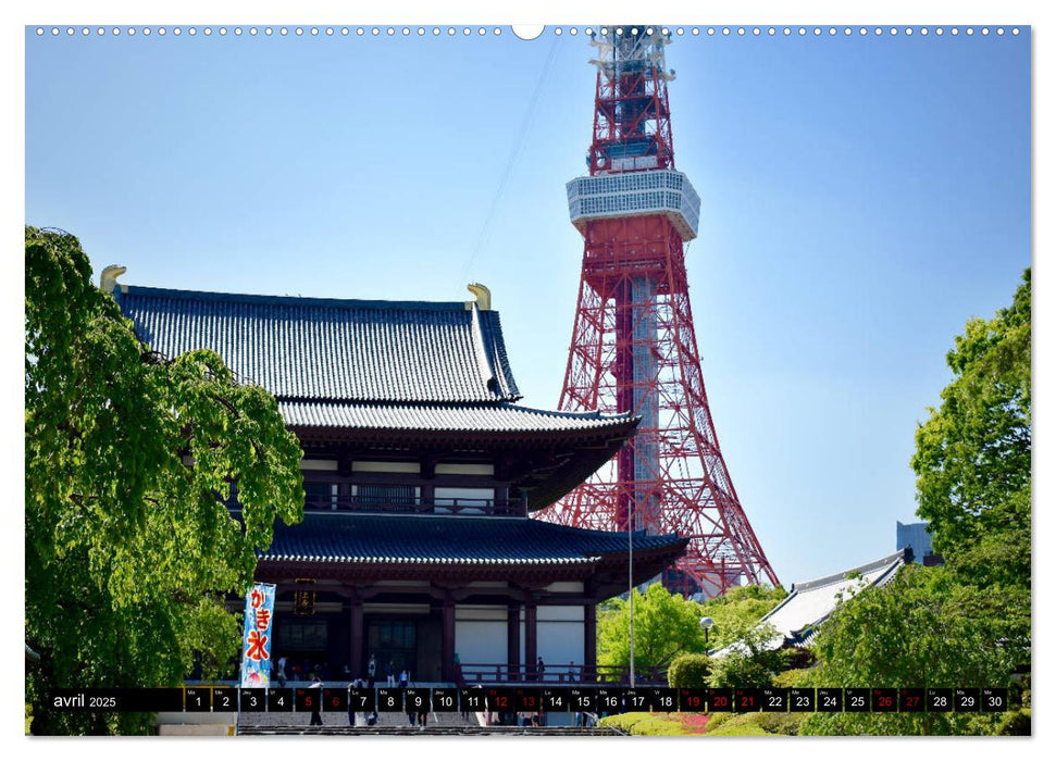 Les couleurs de Tokyo (CALVENDO Calendrier supérieur 2025)