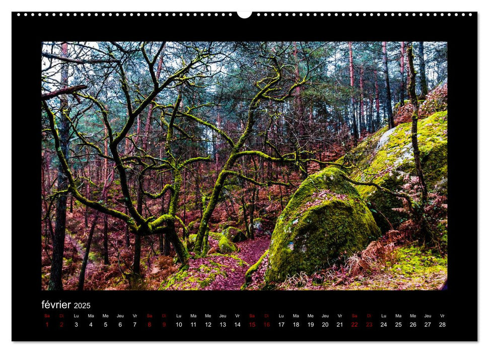 Photo-Tableaux (CALVENDO Calendrier supérieur 2025)