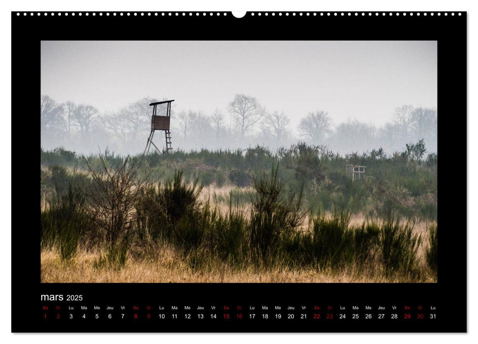 Photo-Tableaux (CALVENDO Calendrier supérieur 2025)