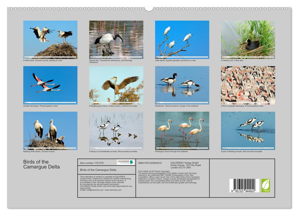 Birds of the Camargue Delta (CALVENDO Premium-Calendar 2025)