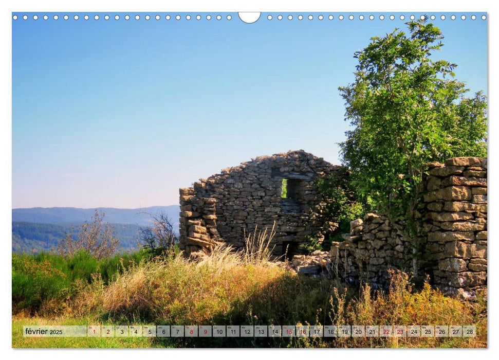 Les Cévennes typiques (CALVENDO Calendrier mensuel 2025)