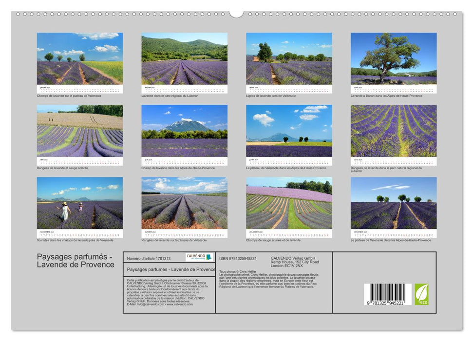 Paysages parfumés - Lavende de Provence (CALVENDO Calendrier supérieur 2025)