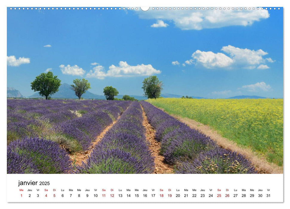 Paysages parfumés - Lavende de Provence (CALVENDO Calendrier supérieur 2025)