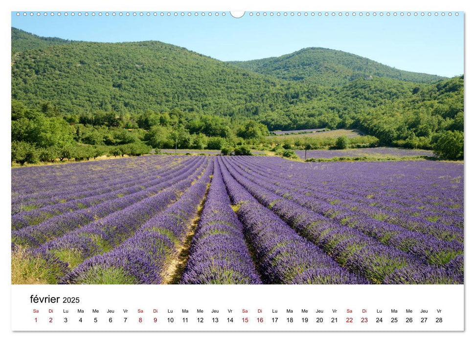 Paysages parfumés - Lavende de Provence (CALVENDO Calendrier supérieur 2025)