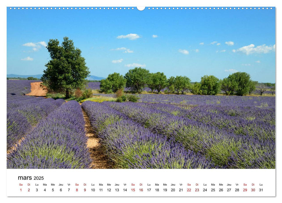 Paysages parfumés - Lavende de Provence (CALVENDO Calendrier supérieur 2025)