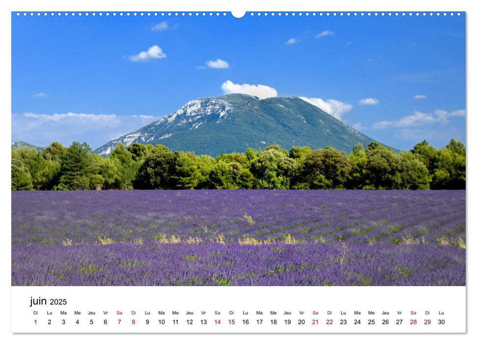 Paysages parfumés - Lavende de Provence (CALVENDO Calendrier supérieur 2025)