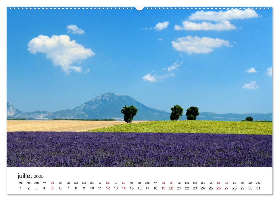 Paysages parfumés - Lavende de Provence (CALVENDO Calendrier supérieur 2025)