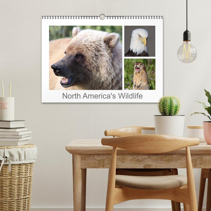 North America's Wildlife (CALVENDO Monthly Calendar 2025)