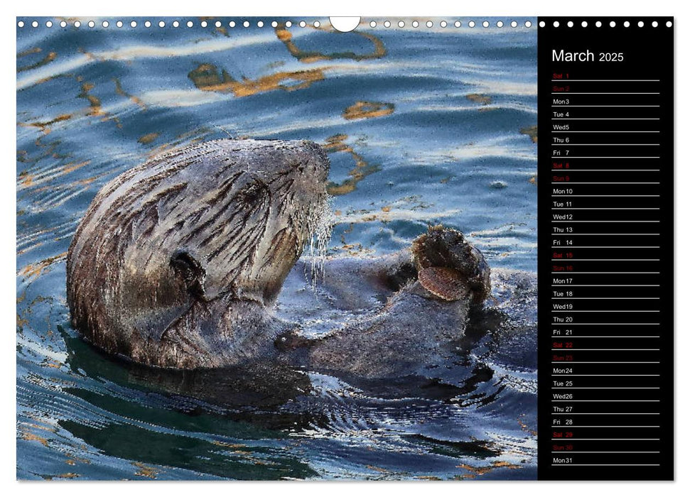 North America's Wildlife (CALVENDO Monthly Calendar 2025)