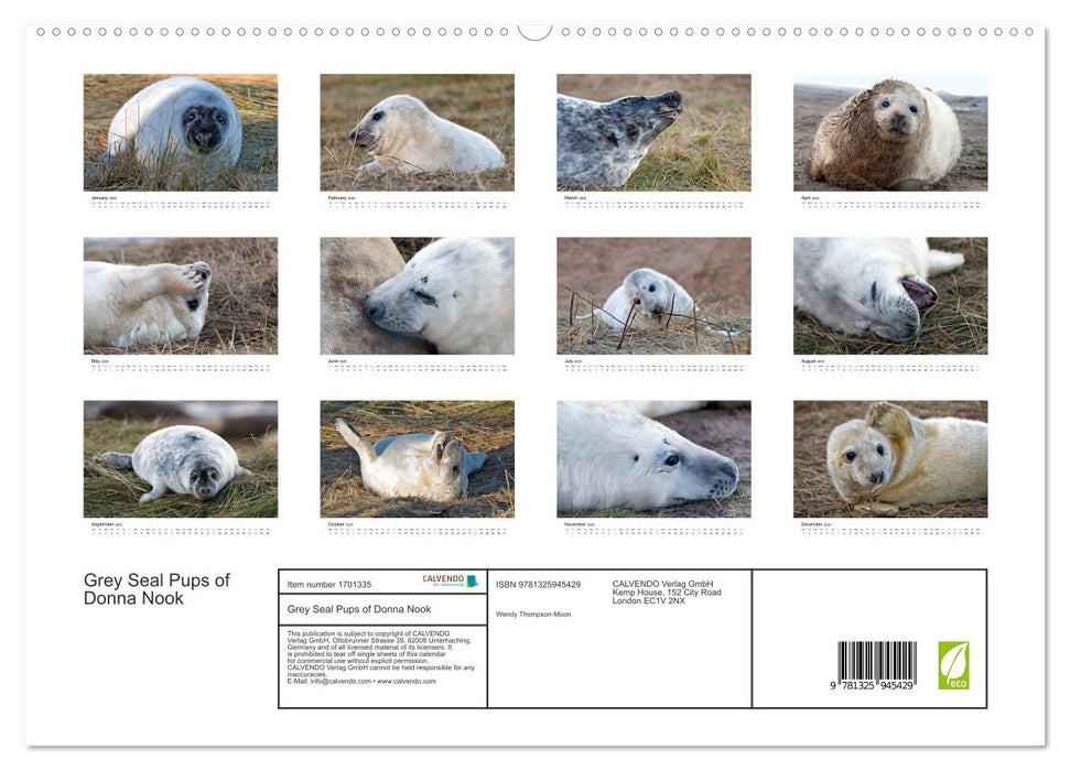 Grey Seal Pups of Donna Nook (CALVENDO Premium-Calendar 2025)