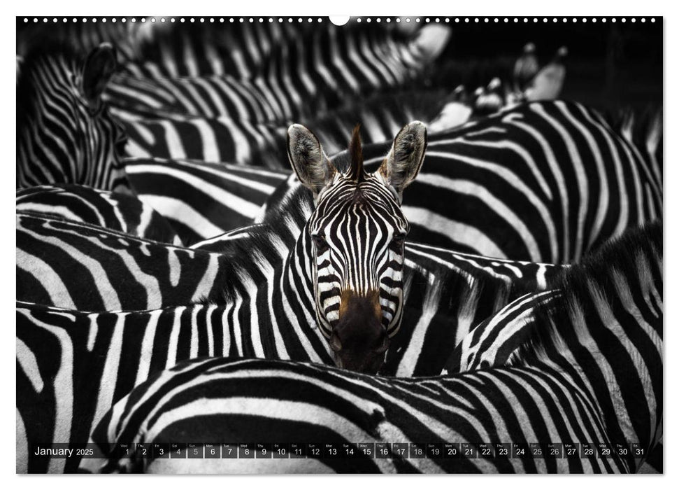 tanzania fine art (CALVENDO Premium-Calendar 2025)