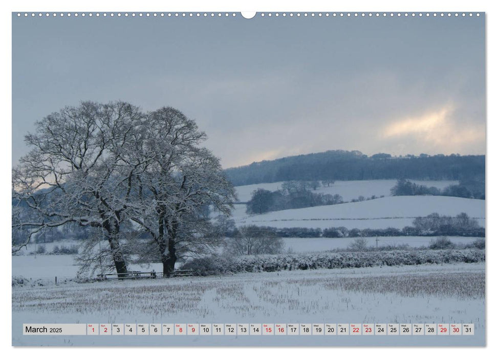 Snow Scenes (CALVENDO Premium-Calendar 2025)