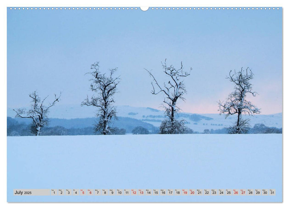 Snow Scenes (CALVENDO Premium-Calendar 2025)