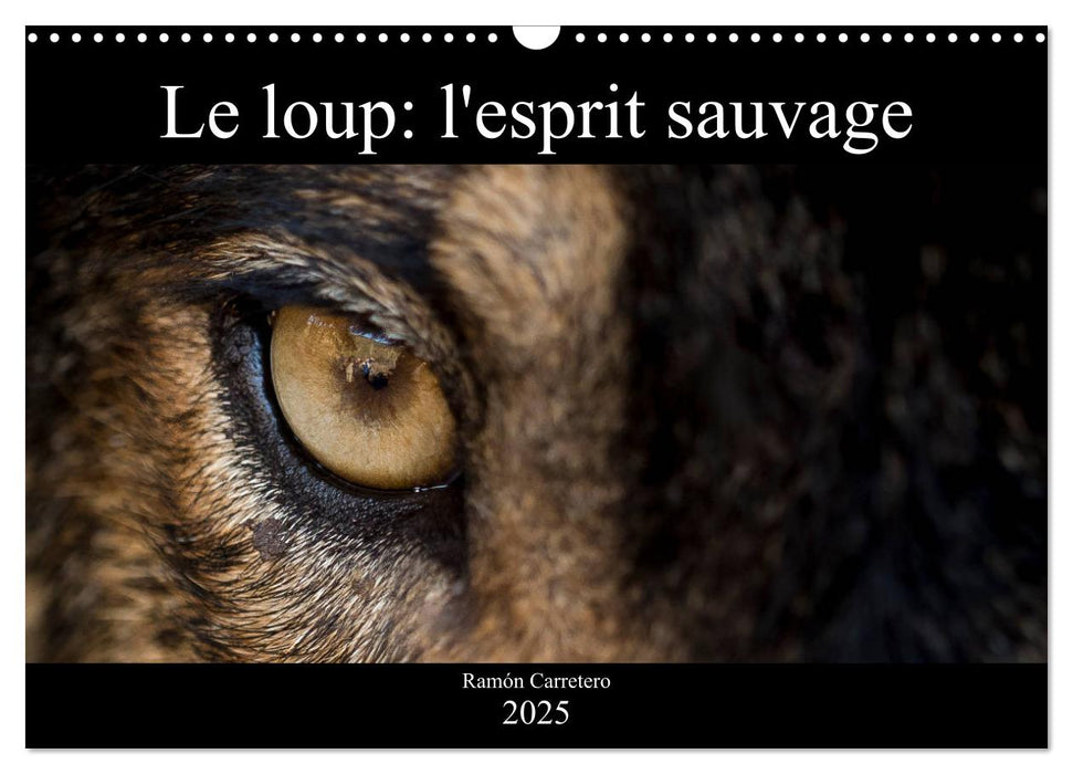 Le loup: l'esprit sauvage (CALVENDO Calendrier mensuel 2025)