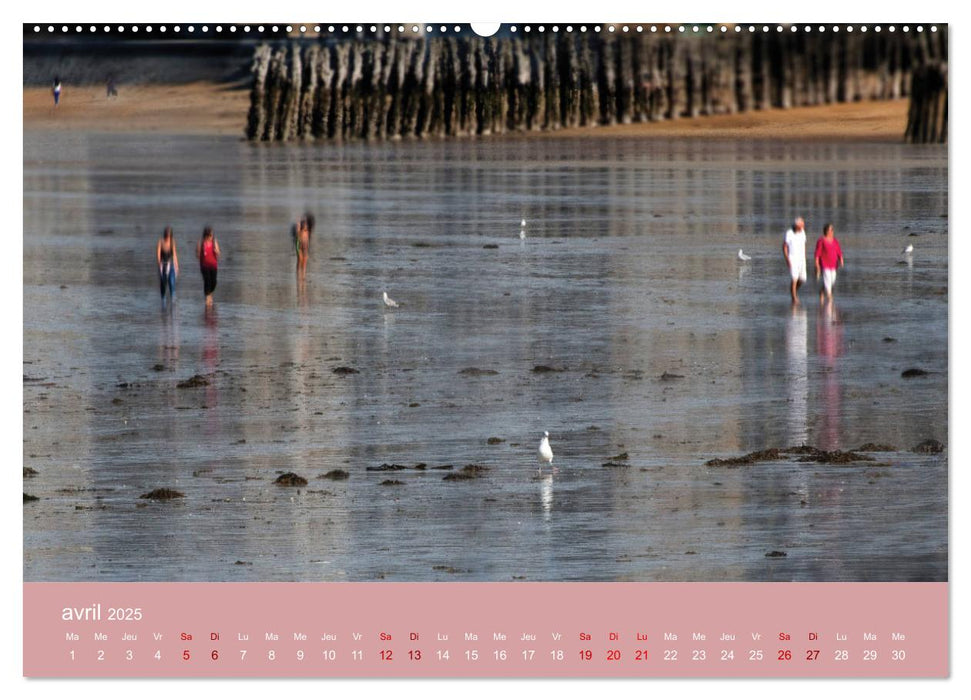 Sillonnez la plage (CALVENDO Calendrier supérieur 2025)