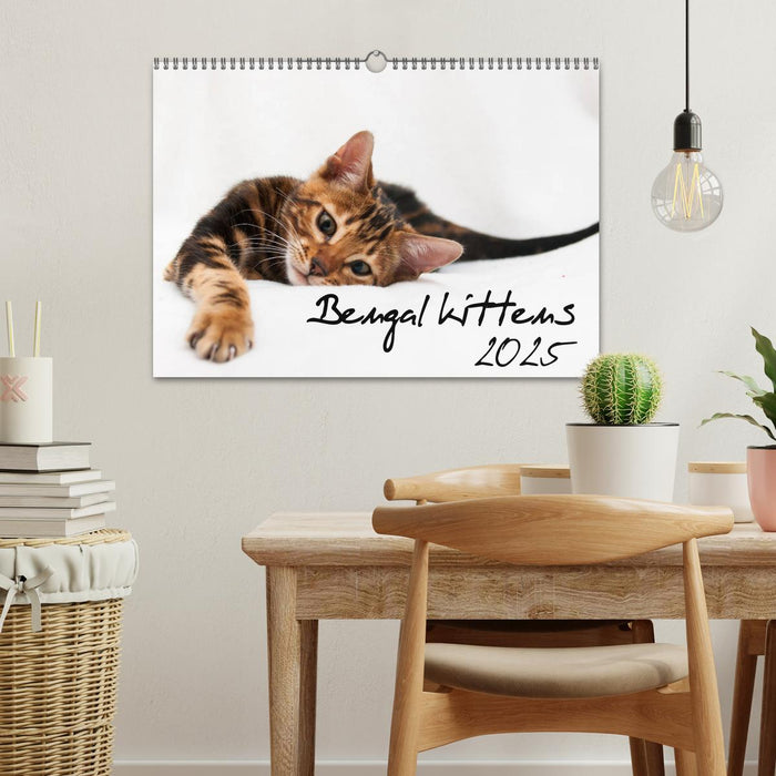 Bengal kittens 2025 (CALVENDO Monthly Calendar 2025)