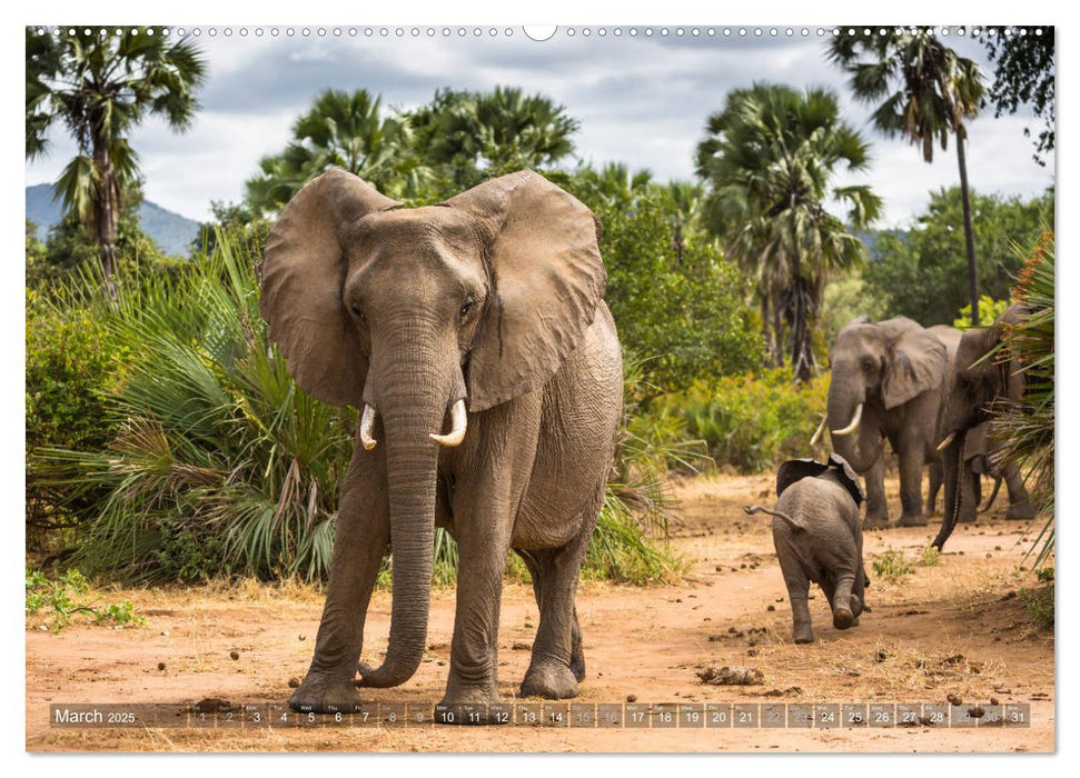 Zambia (CALVENDO Premium-Calendar 2025)