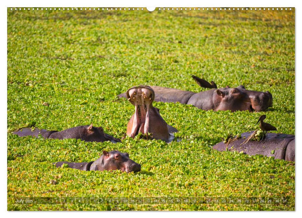 Zambia (CALVENDO Premium-Calendar 2025)