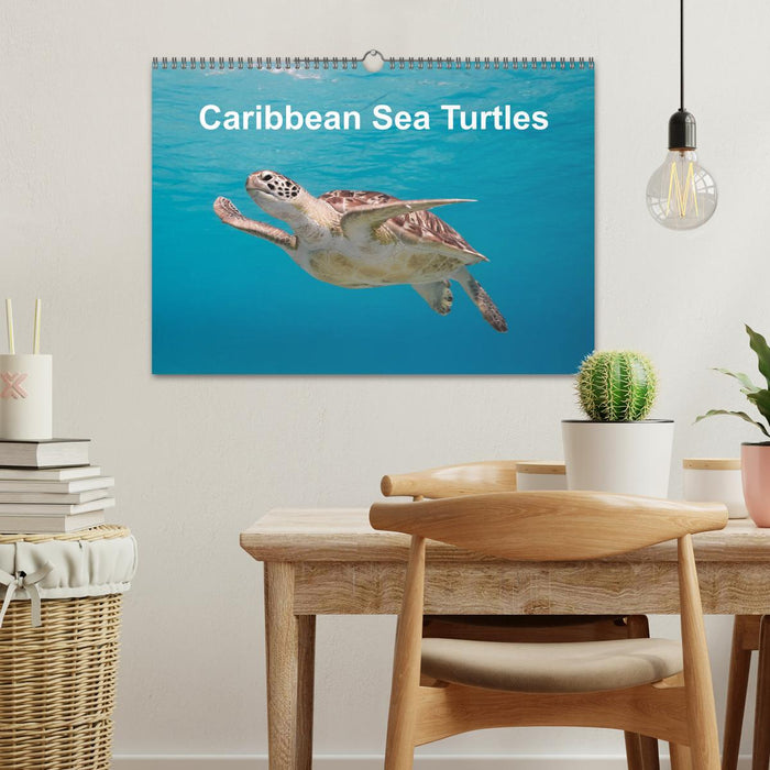 Caribbean Sea Turtles (CALVENDO Monthly Calendar 2025)