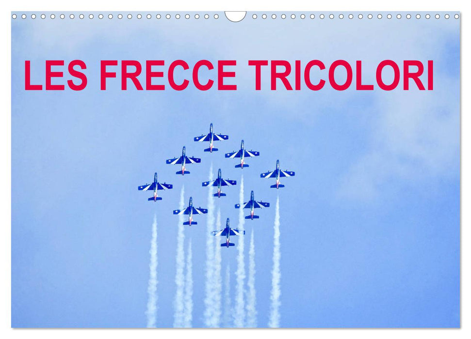 Les Frecce Tricolori (CALVENDO Calendrier mensuel 2025)