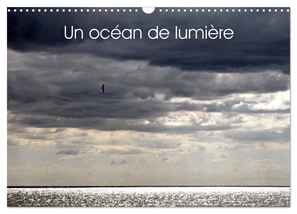 Un océan de lumière (CALVENDO Calendrier mensuel 2025)