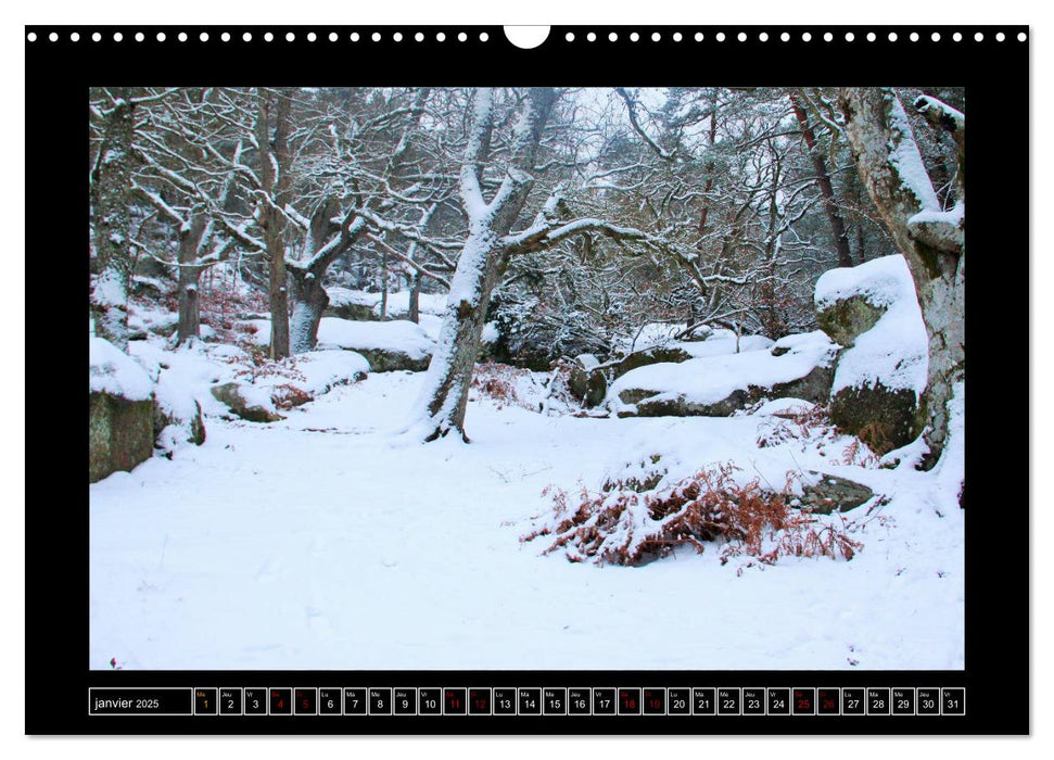 Paysages de Fontainebleau (CALVENDO Calendrier mensuel 2025)